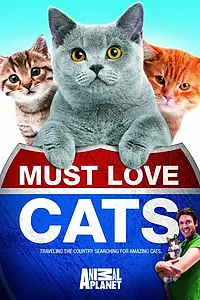 Главный постер сериала «Кошек не любить нельзя (2011)»
