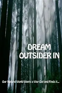 Постер к фильму «Dream - Outsider In»