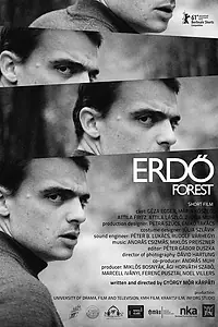 Постер к фильму «Лес (2011)»