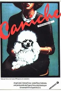 Постер к фильму «Пудель (1979)»