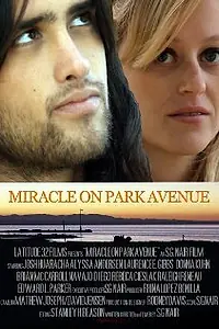 Постер к фильму «Miracle on Park Avenue (2011)»