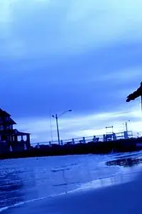 Постер к фильму «Viola (2010)»