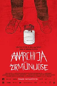 Постер к фильму «Анархия в Жирмунае (2010)»