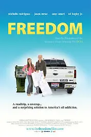 Постер к фильму «The Big Fix (2012)»