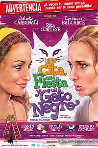 Постер к фильму «Встреча, праздник и черный кот (2009)»