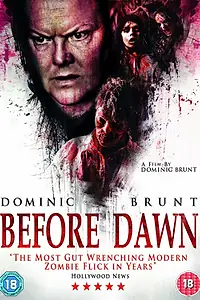 Главный постер фильма «Перед рассветом (2013)»