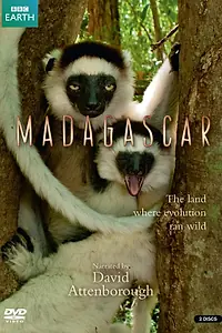 Постер к сериалу «BBC: Мадагаскар (2011)»