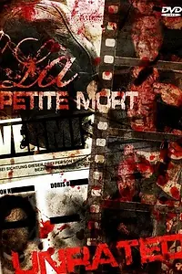 Главный постер фильма «Маленькая смерть (2009)»