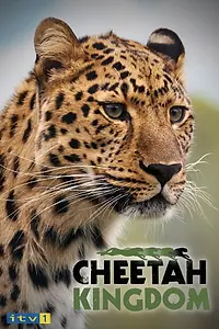 Главный постер сериала «Царство гепардов (2010)»