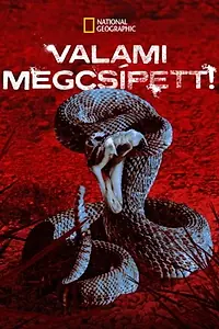 Постер к сериалу «Меня укусили (2008 - 2009)»