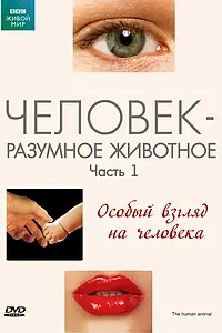 Постер к сериалу «BBC: Человек – разумное животное (1994)»