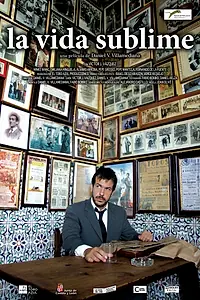 Главный постер фильма «Блистательная жизнь (2010)»