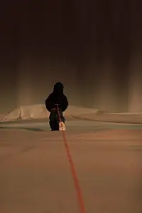 Постер к мультфильму «Choke (2010)»