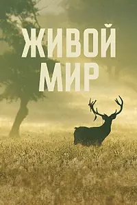 Главный постер фильма «Живой мир (2023)»