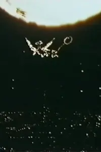Постер к мультфильму «Хранитель (1989)»