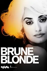 Постер к фильму «Brunes et Blondes (2010)»