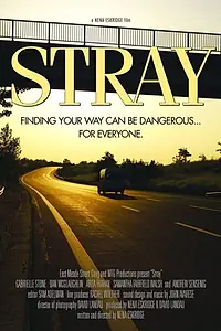 Постер к фильму «Stray (2015)»