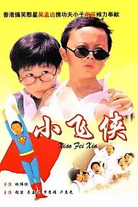 Постер к фильму «Маленький мастер (1995)»