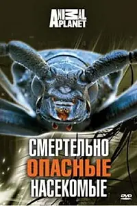 Главный постер фильма «Animal Planet: Смертельно опасные насекомые (1998)»