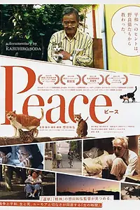 Главный постер фильма «Спокойствие (2010)»