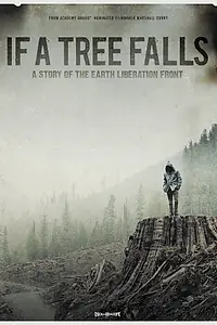 Главный постер фильма «Если я упаду (2011)»