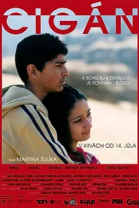 Постер к фильму «Цыган (2011)»