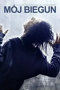 Постер к фильму «Мой полюс (2011)»
