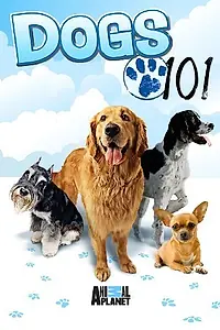 Постер к сериалу «Введение в собаковедение (2008 - 2011)»