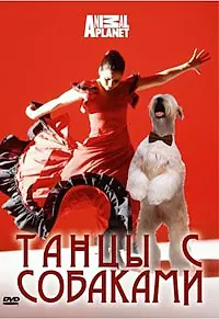 Постер к фильму «Discovery: Танцы с собаками (2008)»