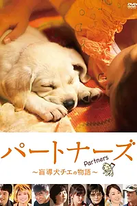 Постер к фильму «Напарники (2010)»