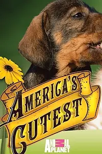 Постер к сериалу «Самые милые питомцы Америки (2009 - 2014)»