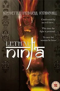 Главный постер фильма «Смертоносный ниндзя (1992)»