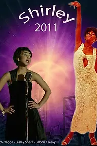 Главный постер фильма «Ширли Бейси (2011)»