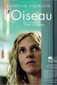 Постер к фильму «Птицы (2011)»