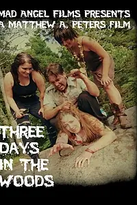 Главный постер фильма «Three Days in the Woods (2010)»