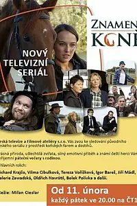Главный постер сериала «Порода лошадей (2011)»