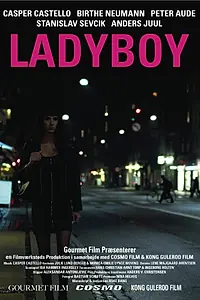 Постер к фильму «Ladyboy (2011)»