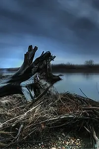 Постер к фильму «Down by the Water»