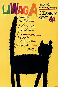 Постер к фильму «Черный котенок (1965)»