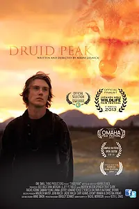 Постер к фильму «Друид пик (2014)»