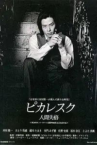 Постер к фильму «Picaresque (2002)»
