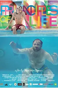 Постер к фильму «Принципы жизни (2010)»
