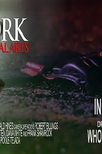 Главный постер фильма «New York Mixed Martial Arts (2011)»
