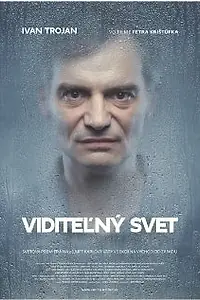 Постер к фильму «Видимый мир (2011)»