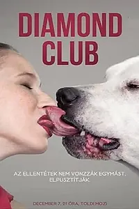 Постер к фильму «Клуб Бриллиант (2011)»