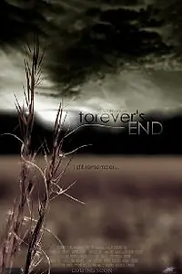Постер к фильму «Forever's End (2013)»