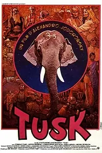 Постер к фильму «Бивень (1980)»