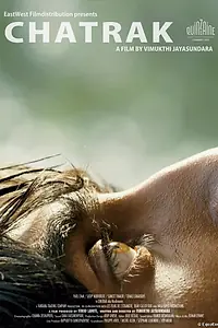 Постер к фильму «Грибы (2011)»