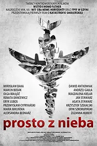 Постер к фильму «Прямо с неба (2011)»