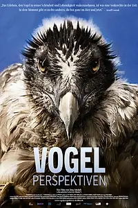 Постер к фильму «Vogelperspektiven (2023)»